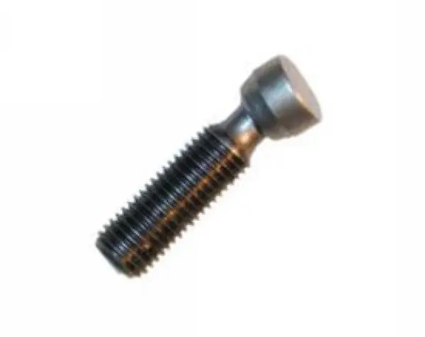 Porsche Valve Adjusting Screw 1