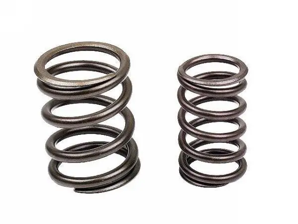 Porsche Valve Spring Set 1