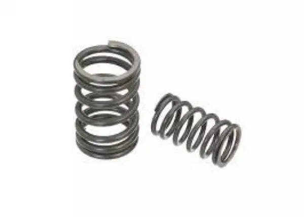Valve Spring Set 1