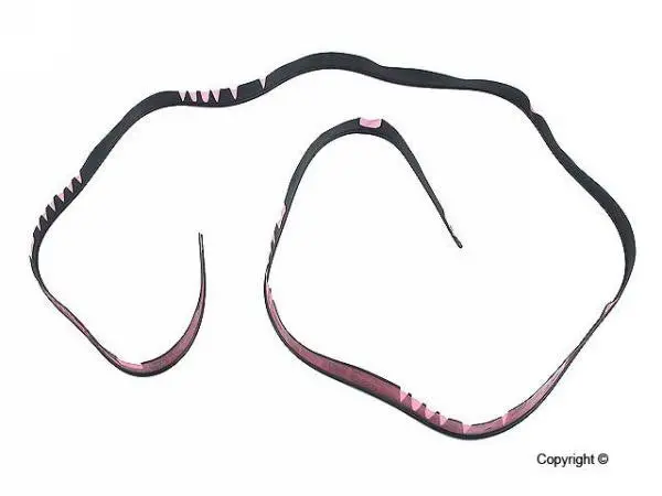 Seal Carrera Tail Base 1