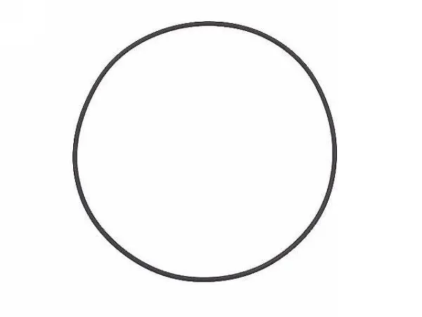 Porsche Cylinder Base Seal Ring Gasket 1