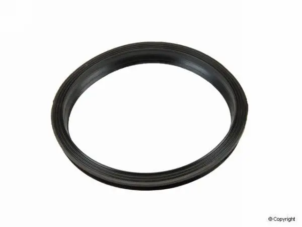 Porsche Cayenne Fuel Pump Seal (In Tank) 1