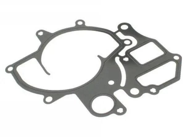 Porsche Water Pump Gasket 1