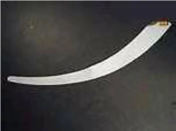 Porsche Stone Guard Front Fender Right Clear 1