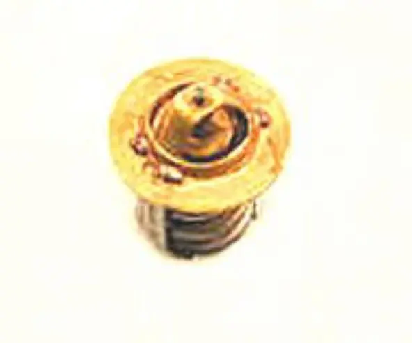 Porsche Thermostat For Additional Turbo Water Pump 1