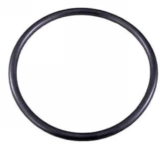 Porsche Thermostat O Ring Seal 1