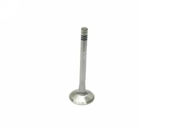 Porsche Exhaust Valve - Except L - Oem 1