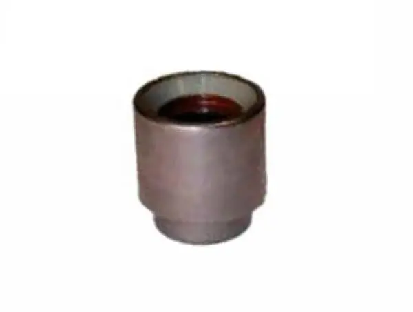 Porsche Pilot Bearing 1