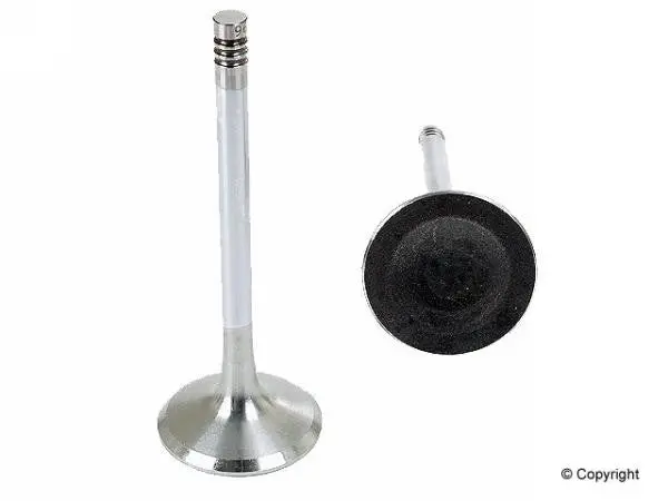 Porsche Intake Valve 1