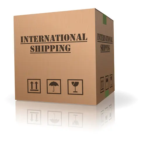 International Shipping Fee Please Contact Us For Your Total Amount 1